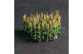 00910 Sweetcorn N Gauge 24/Pack (TP Models)