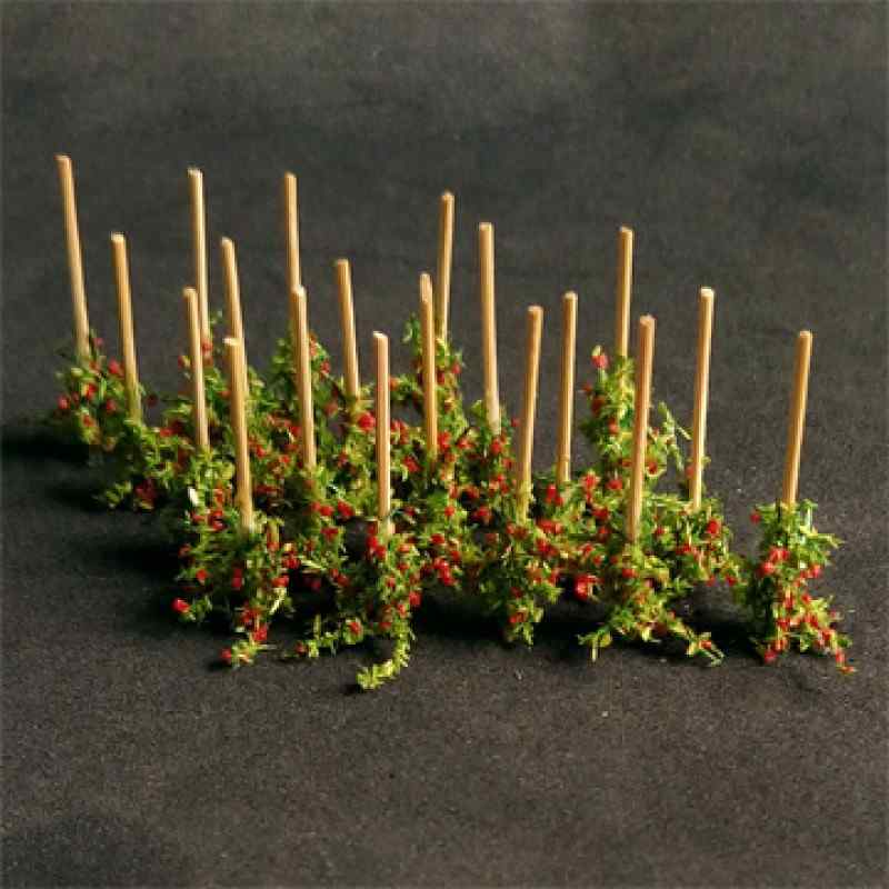 00912 Tomato Plants N Gauge 18/Pack 18 Single Plants (TP Models) 1 00912 Tomato Plants N Gauge 18/Pack 18 Single Plants (TP Models)